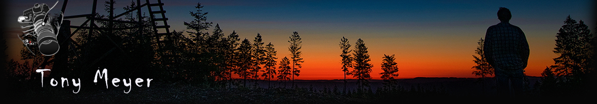 Header Bild